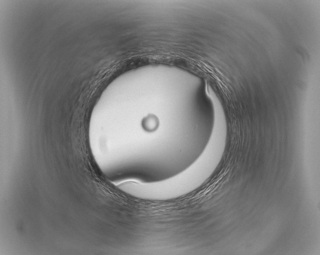 X0000115651345200912011514