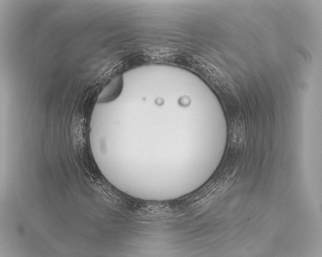 X0000115651346200912011514