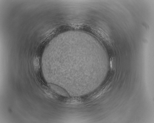 X0000115651347200912011514