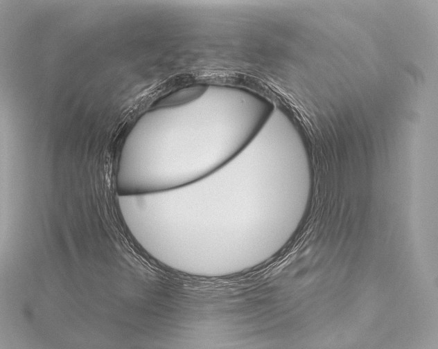 X0000115651348200912011514