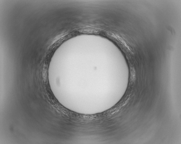 X0000115651350200912011514