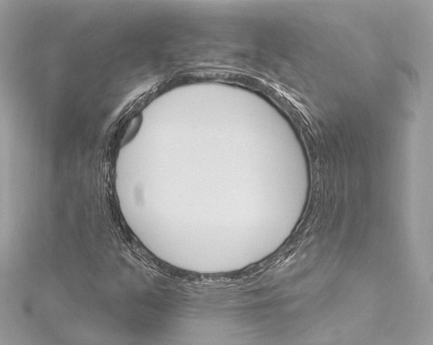 X0000115651351200912011514