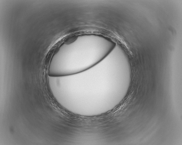 X0000115651352200912011514