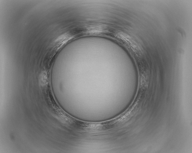 X0000115651353200912011514