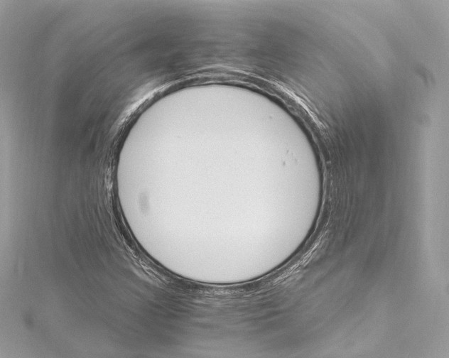 X0000115651355200912011514