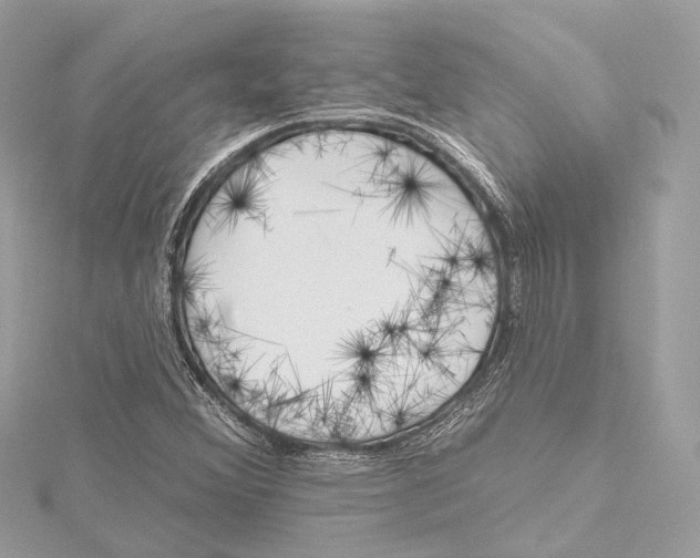 X0000115651356200912011514