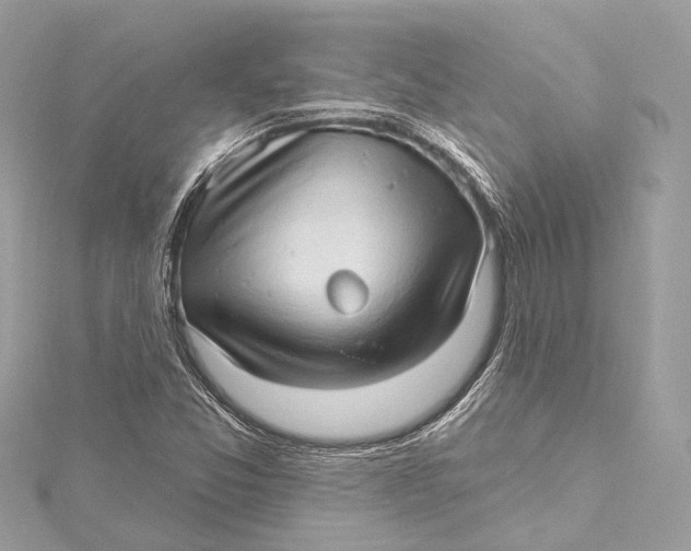 X0000115651357200912011514