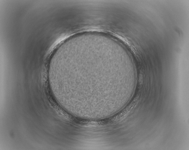 X0000115651359200912011514