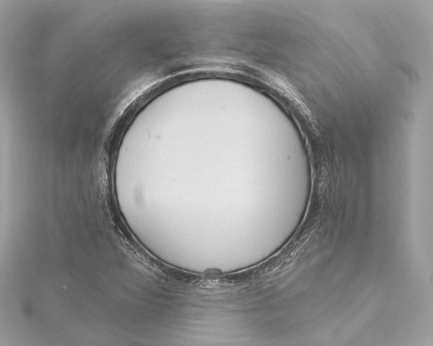 X0000115651360200912011514