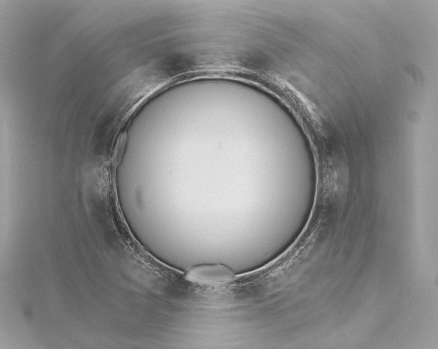 X0000115651361200912011513