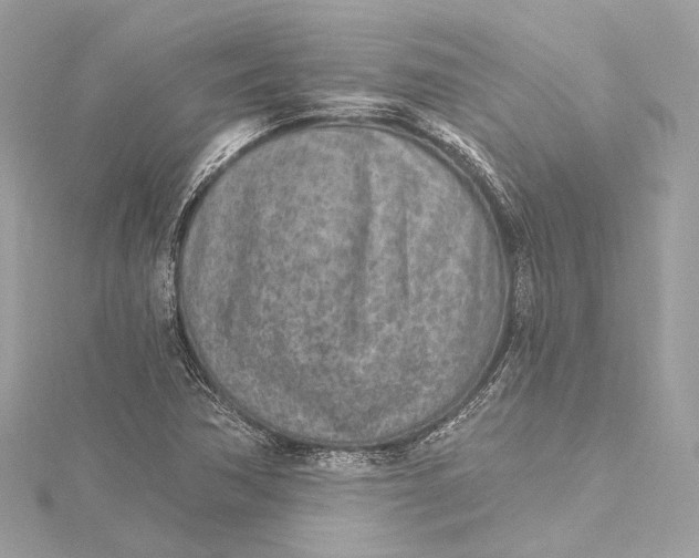 X0000115651362200912011513