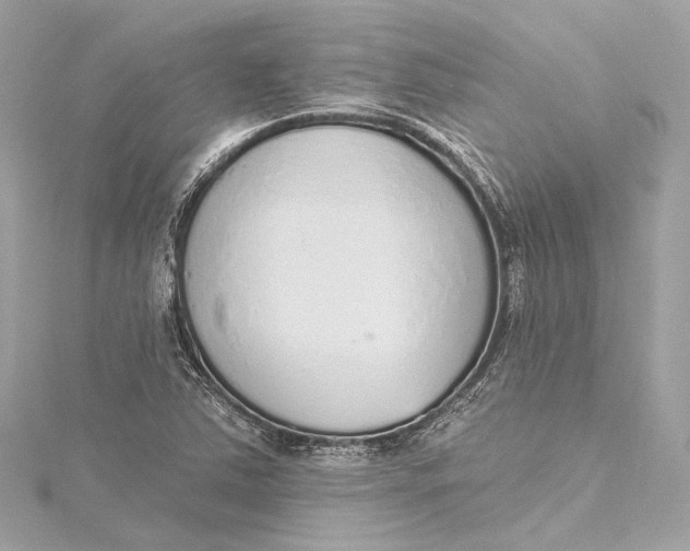 X0000115651363200912011513