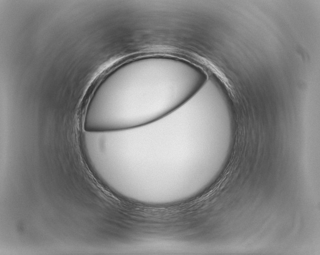 X0000115651364200912011513