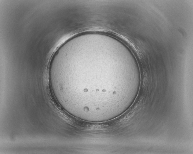 X0000115651367200912011513