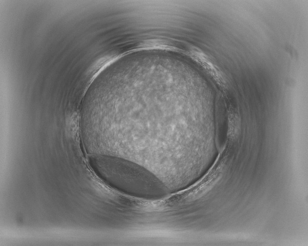 X0000115651369200912011513