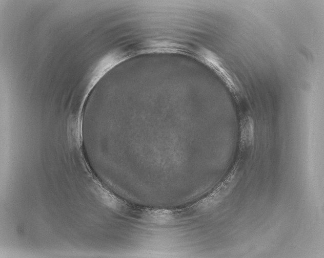 X0000115651370200912011513