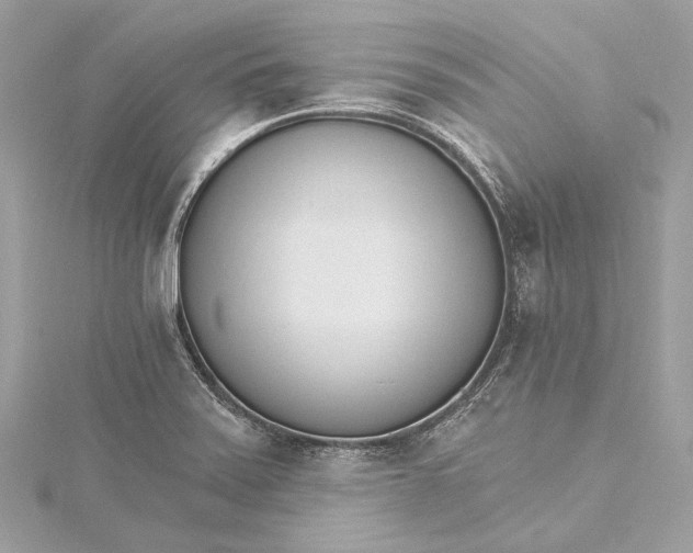 X0000115651371200912011513