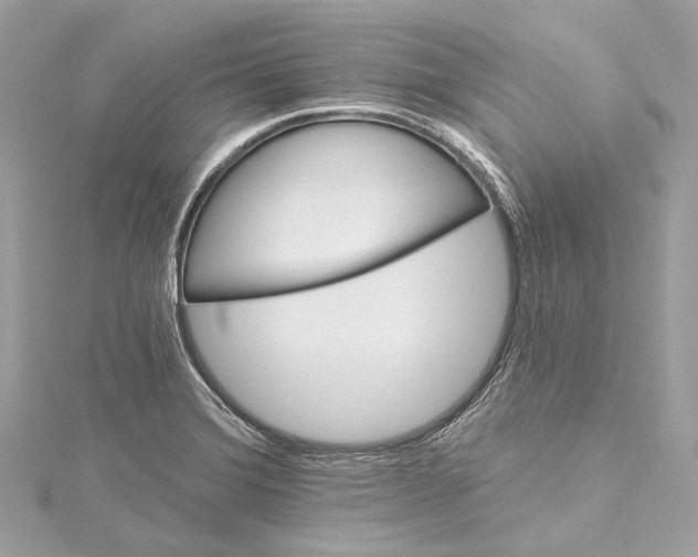 X0000115651372200912011513