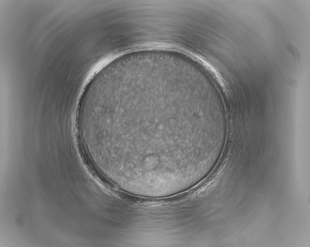 X0000115651373200912011513