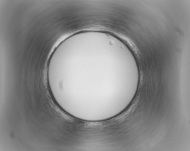 X0000115651374200912011513