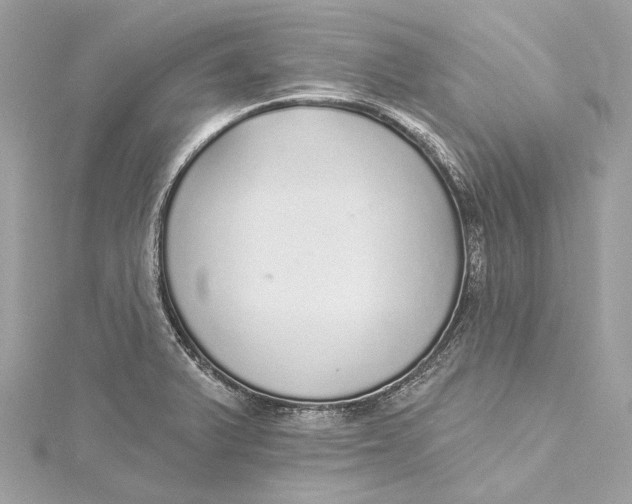 X0000115651375200912011513