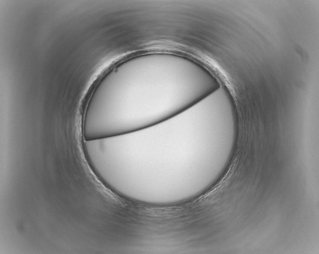 X0000115651376200912011513