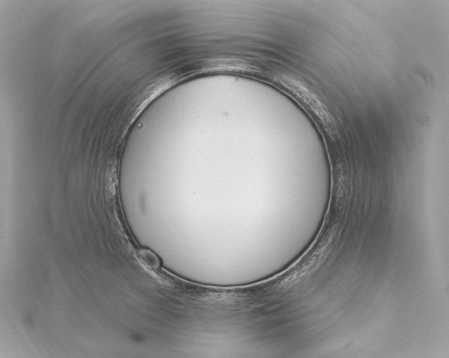 X0000115651377200912011513