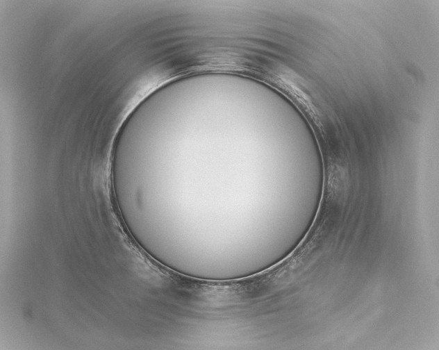 X0000115651378200912011513