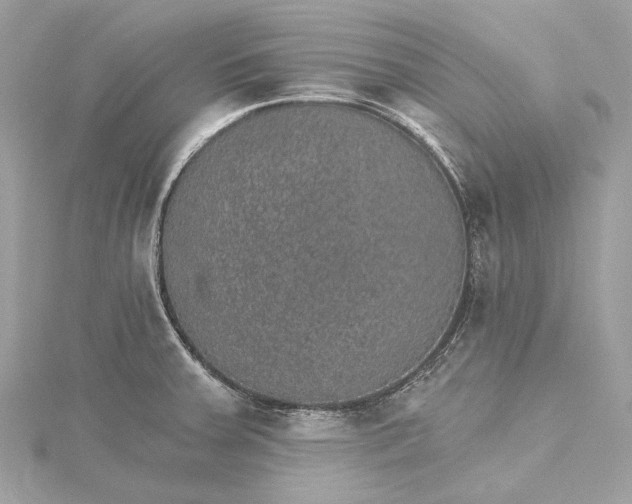 X0000115651379200912011513