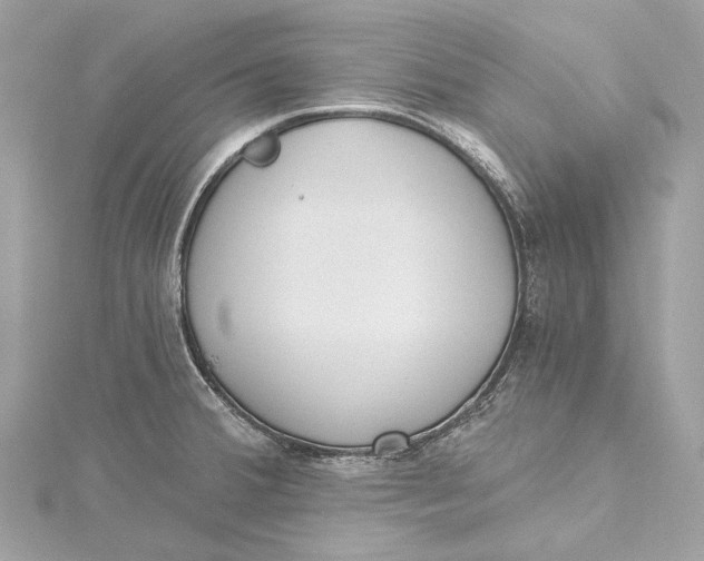 X0000115651380200912011513