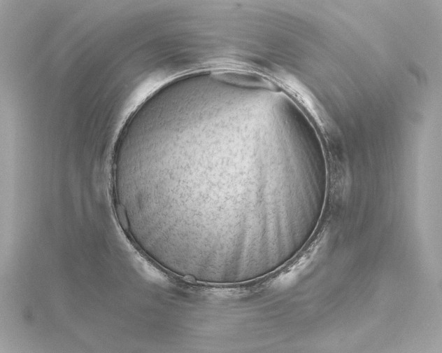 X0000115651381200912011513