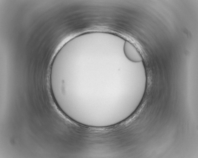 X0000115651382200912011513