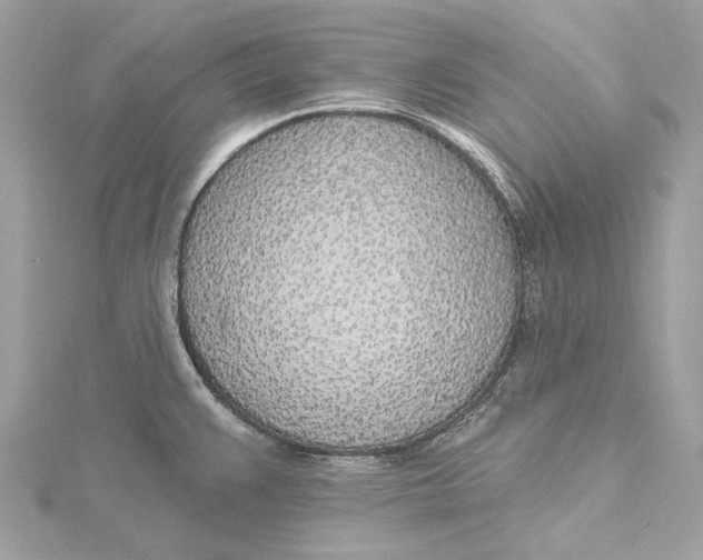 X0000115651383200912011513