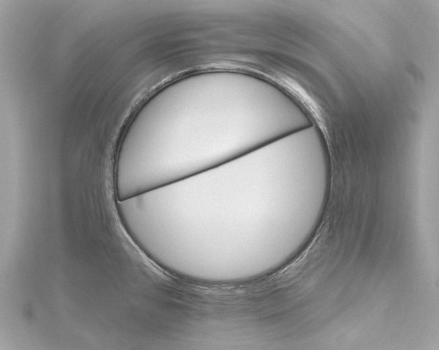 X0000115651384200912011513