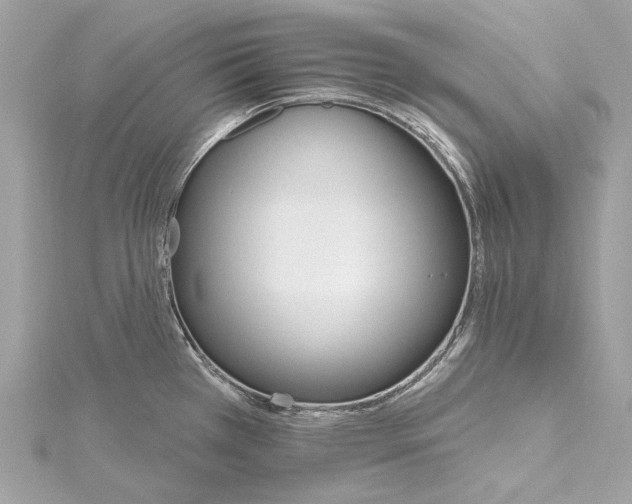 X0000115651385200912011513