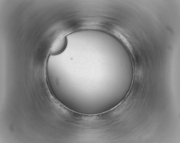 X0000115651386200912011513