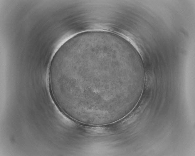 X0000115651387200912011513