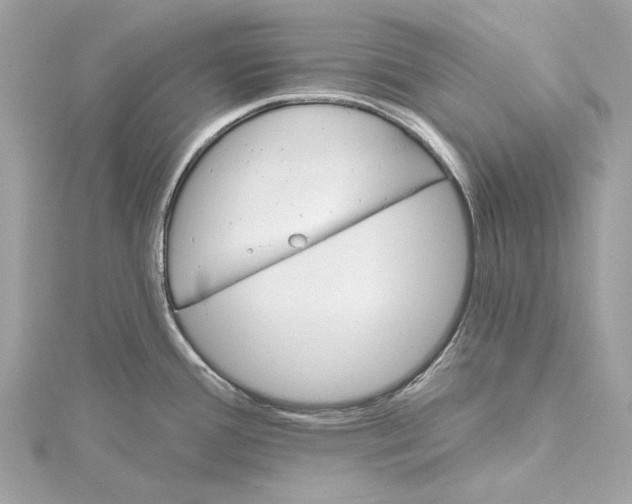 X0000115651388200912011513