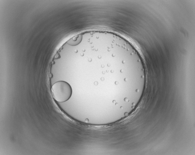 X0000115651390200912011513