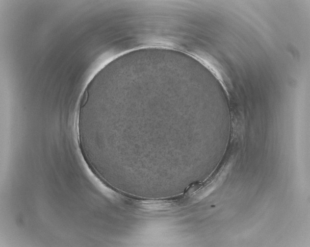 X0000115651391200912011513