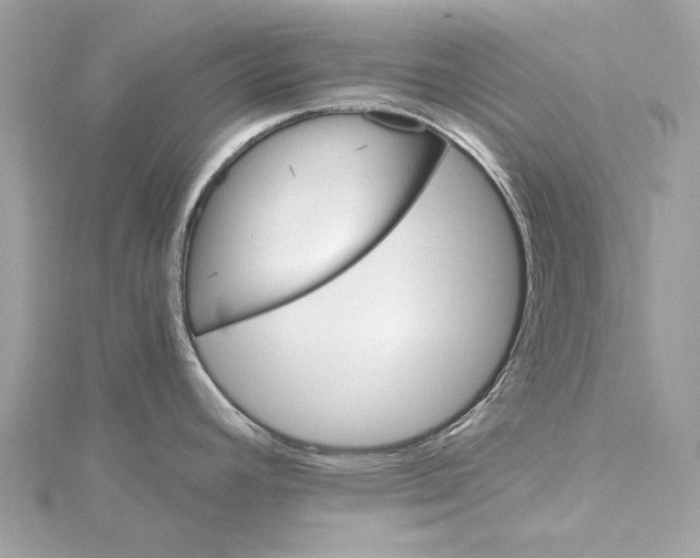 X0000115651392200912011513