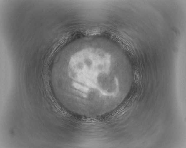 X0000115651393200912011512