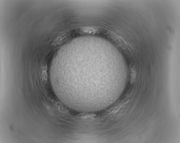 X0000115651394200912011512