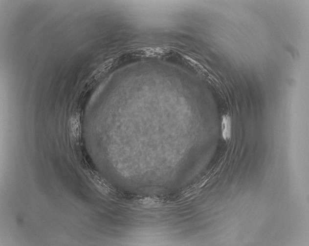 X0000115651395200912011512