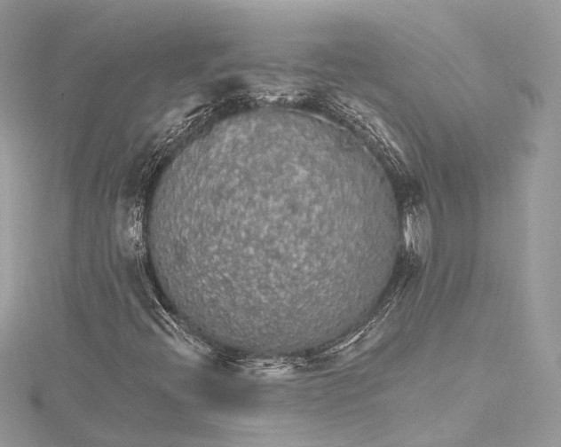 X0000115651396200912011512