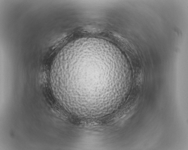 X0000115651397200912011512