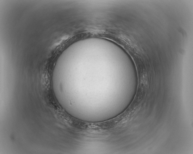 X0000115651398200912011512