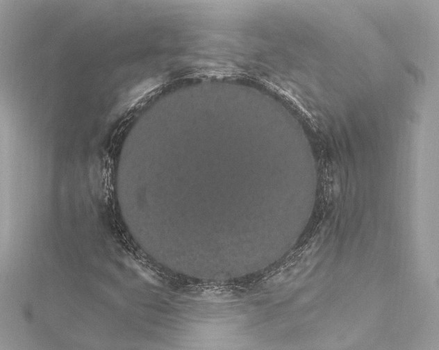 X0000115651399200912011512