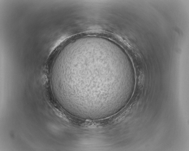 X0000115651400200912011512