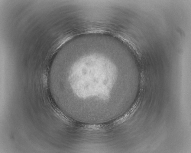 X0000115651401200912011512